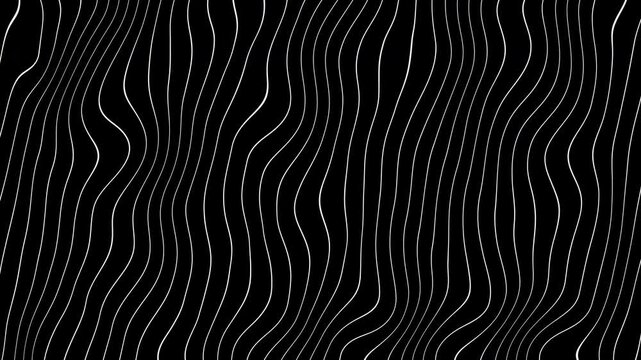 Curved waves abstract motion background. White vertical wavy on black background. Abstract motion background. Seamless 4K video
