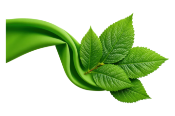 Promoting organic products green environment banner design with leaf textures, isolated on transparent background