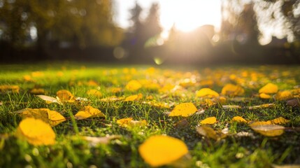 vegetation. Autumn garden bathed in warm sunlight with scattered golden leaves and peaceful ambiance. representing seasonal cycles and harvest abundance.