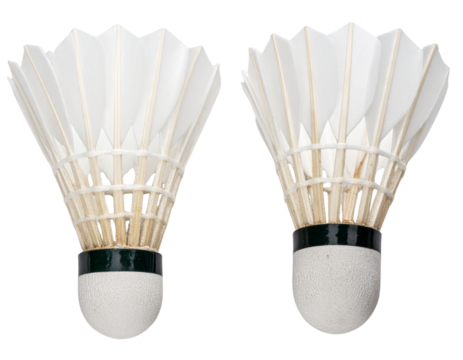 Top-Down View of Two White Feather Shuttlecocks Lying Flat, Isolated on Transparent Background PNG