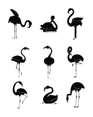 flamingo set collection pack bundle black shape icon silhouette vector flat illustration design on white background