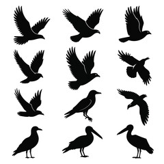 Obraz premium Vector silhouettes of various birds in flight and perched diverse avian wildlife collection eps vector