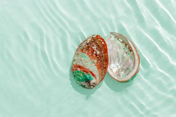 Colored shells floating on waves green blue sea water with sun flare. Natural textured Seashells of natural bright and shimmering at sunlight, Minimal aesthetic still life photo, summer vibes