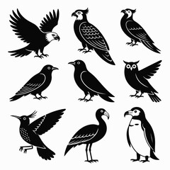 Obraz premium Diverse collection of vector birds eagle parrot penguin owl raven crow illustration scalable vector
