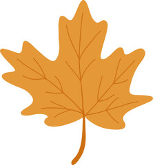 Maple leaf autumn harvest flat design illustration of seasonal thanksgiving for holiday celebration
