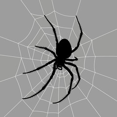 Obraz premium Spider Silhouette on Detailed Web Illustration