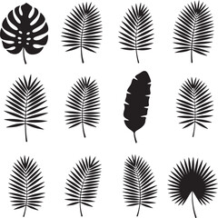 Tropical Leaf Silhouettes: A striking collection of diverse tropical leaves, elegantly presented in bold black and white.