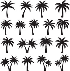 Palm Trees Silhouette: A collection of elegant black palm tree silhouettes against a clean backdrop, perfect for tropical and nature-themed designs. 