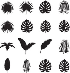 Tropical leaf silhouettes collection: This image presents a collection of various leaf silhouettes, perfect for graphic design and adding a touch of nature to any project.