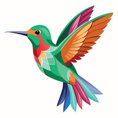 colorful humming bird Artwork