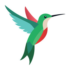 colorful humming bird Artwork