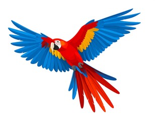 Vibrant macaw in flight, a dazzling display of avian beauty