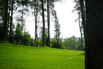 2 people was sitting and enjoying nature