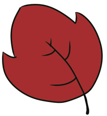 나뭇잎 나무잇 낙엽