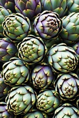 Fototapeta premium Harvesting artichokes farm field nature photography rural landscape close-up view agricultural concept