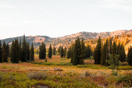 Fall Hiking Views at Tony Grove Lake and White Pine Lake Logan Utah Mountain Peaks and Trails