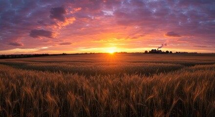 Golden sunrise over wheat fields rural landscape scenic vibrant sky nature's beauty