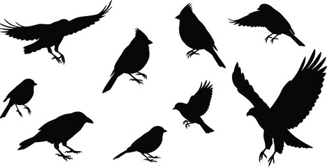 Bird silhouette vector collection, flying birds, perched sparrow, crow, cardinal, wildlife illustration, nature freedom artwork, animal design graphic