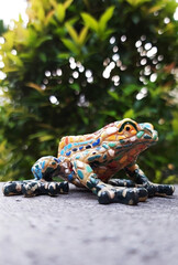 Fake frog made of porcelain posed in front of leaves