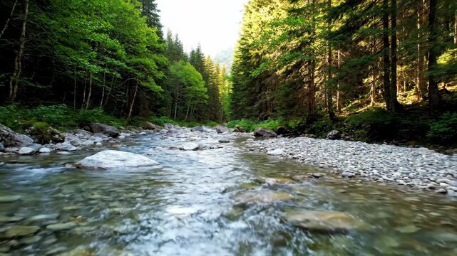 Wide shot of a clear mountain river flowing over smooth rocks in a pristine forest, tracking shot tranquil, movement, stream