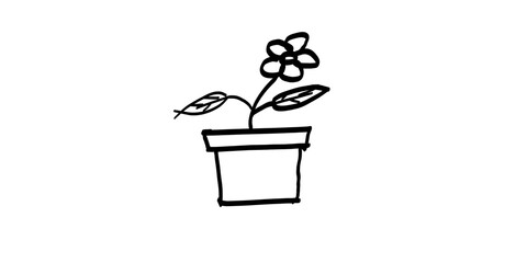 Hand drawn flower in a pot isolated on transparent background, simple illustration