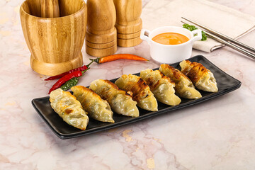 Japanese fried Gyoza stuffed dumplings