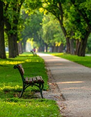 Sunlit park path lined with trees, a solitary bench sits invitingly in the foreground