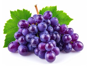 Cluster of purple grapes with leaves