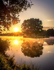 Serene sunrise over still lake, tree reflected in calm water, misty atmosphere