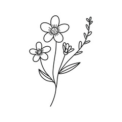 Delicate Floral Line Art Illustration Featuring Three Simple Flowers and Buds for a Minimalist Design Aesthetic on White Background