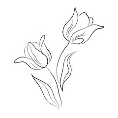 Elegant Tulip Line Art Illustration Isolated on White Background for Creative Floral Designs and Spring Inspired Graphics