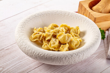 Tasty Russian dumplings with meat