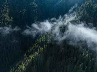 Aerial view of beautiful high altitude snow capped mountain and forest landscape