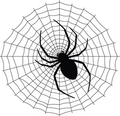 Obraz premium Spider on Web Silhouette Illustration for Halloween and Nature Design