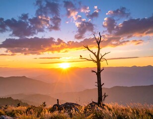 A lone, dead tree silhouetted against a vibrant sunset over a mountain range