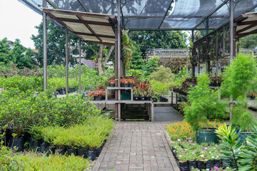 Green nursery filled with diverse plants in black polybags, arranged neatly under shaded roof structures, creating a refreshing and vibrant atmosphere with lush greenery all around.