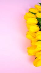 Yellow tulips bouquet against pink