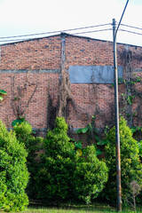 Old brick wall partly covered with creeping plants and surrounded by green bushes, creating a rustic contrast between man-made structure and natural growth under daylight atmosphere.