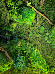 Artificial vertical garden with lush green texture covering the wall, blending moss-like surface, decorative plants, and natural tones that create a refreshing impression in modern space design.