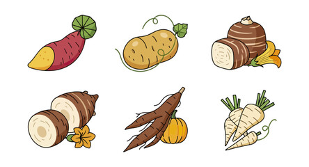 Collection of root vegetables illustration