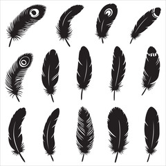 A vector illustration set of fluffy bird feathers in a seamless pattern design