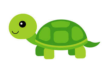 tortoise with a green leaf