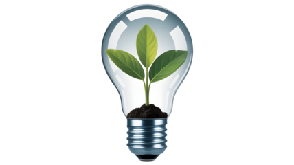 See new growth inside a lightbulb, a symbol of innovation and green technology