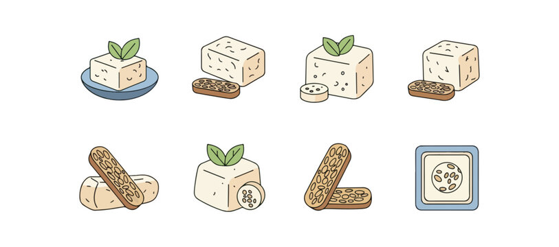 Tempeh and tempe illustration collection