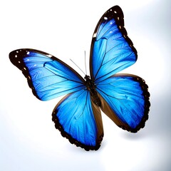 Fototapeta premium A vibrant blue butterfly, wings outstretched, in a soft, bright light