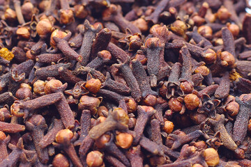 A spice of dried cloves, herbal medicine plant