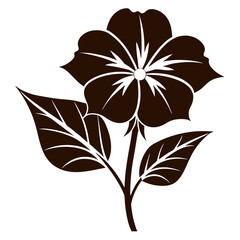 nierembergia hippomanica flower silhouette vector on white