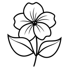 nierembergia patagonica  flower line art vector on white background