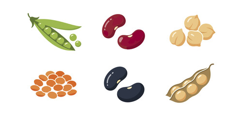 Various legumes illustration
