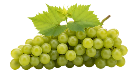 Bunch of Green Grapes with Leaves on Black Background Keywords: green grapes, bunch of grapes